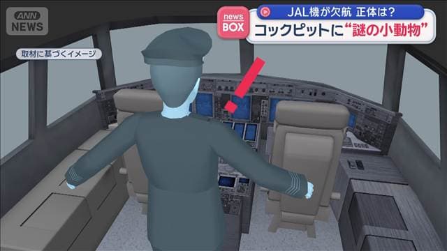 メイン記事画像