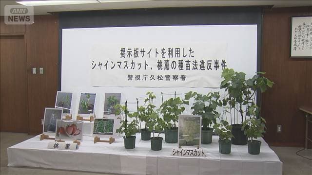 メイン記事画像