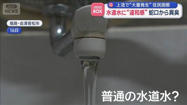 メイン記事画像