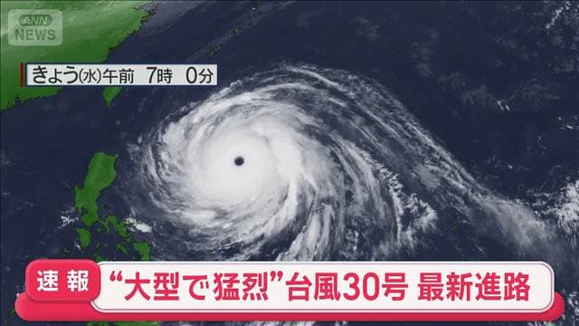 メイン記事画像