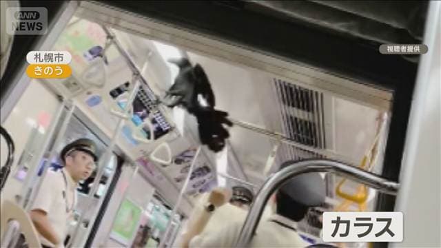 メイン記事画像