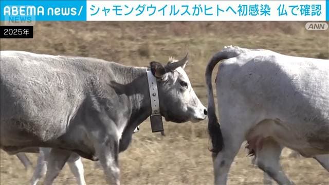 メイン記事画像