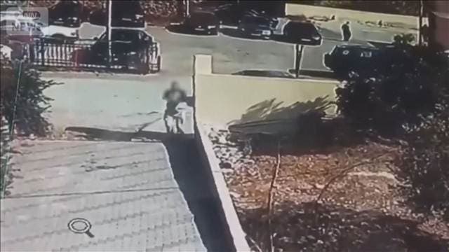 メイン記事画像