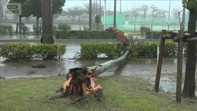 メイン記事画像