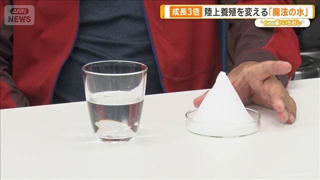 メイン記事画像