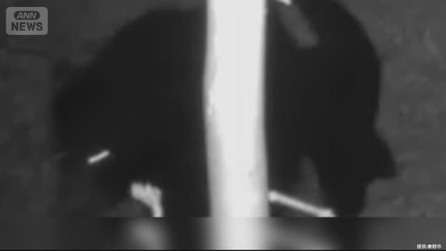 メイン記事画像
