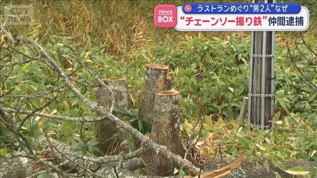 メイン記事画像