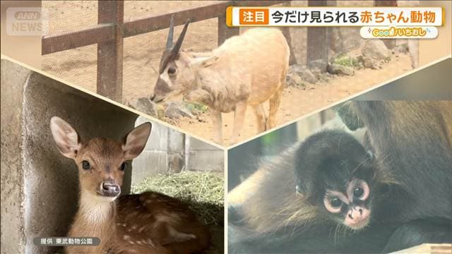 メイン記事画像