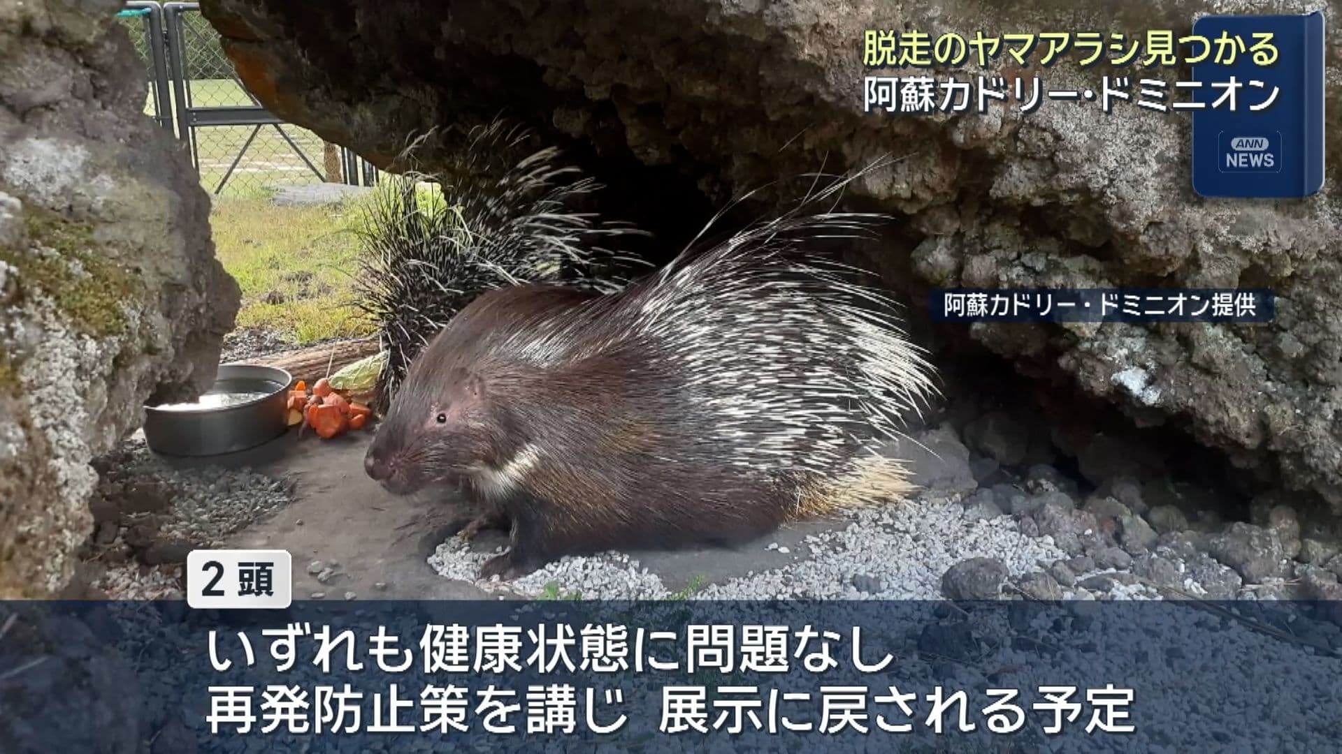 写真6