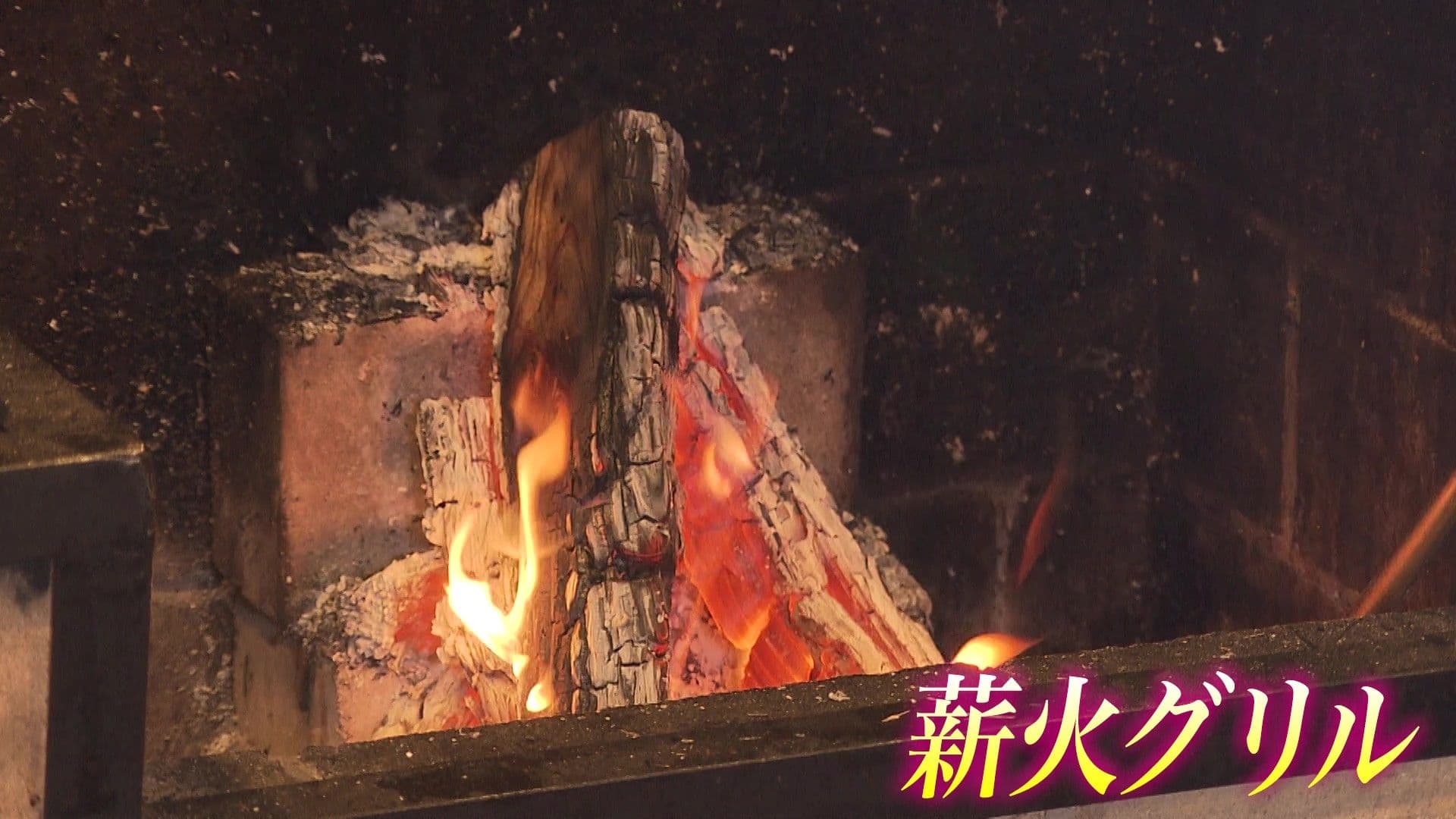 写真1