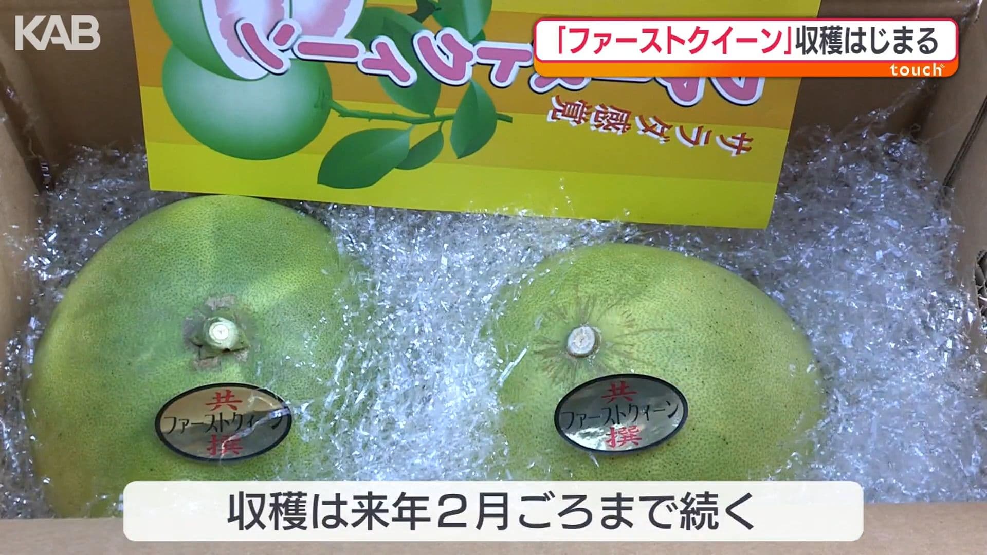 写真7