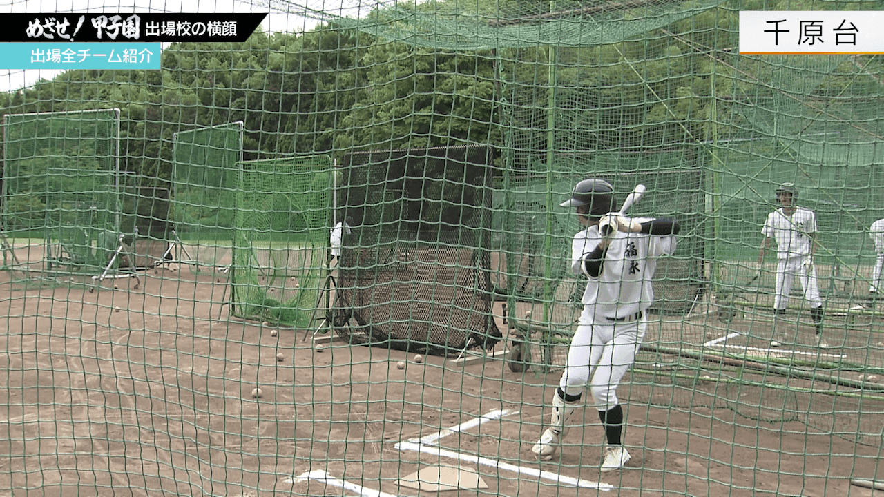 写真6