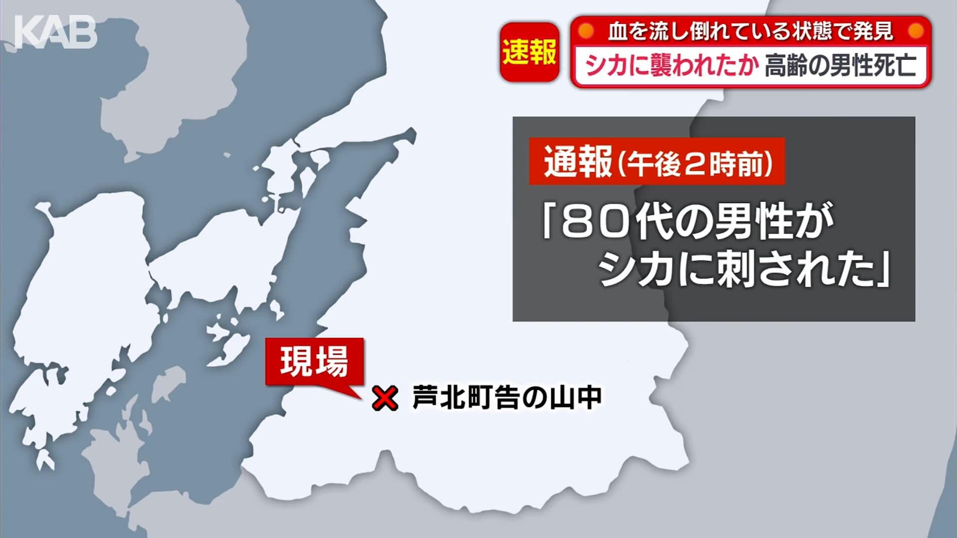メイン記事画像