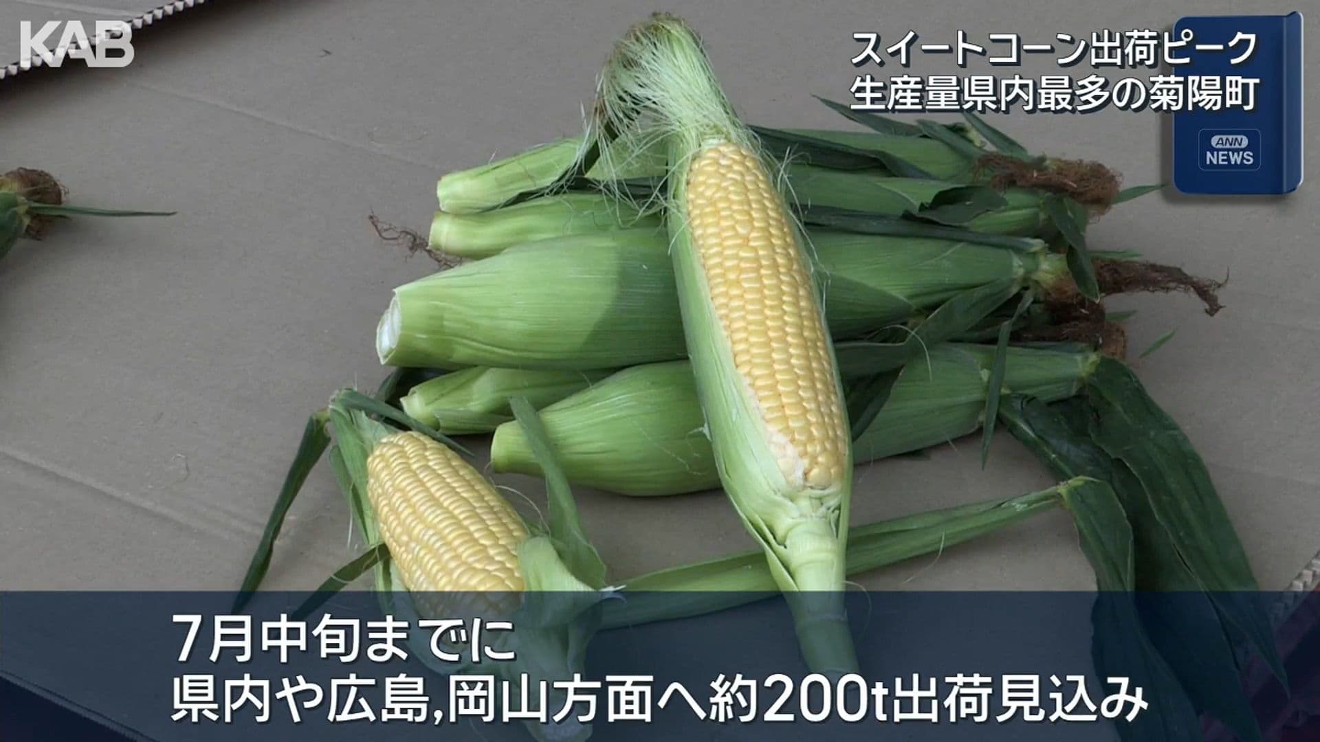 写真7