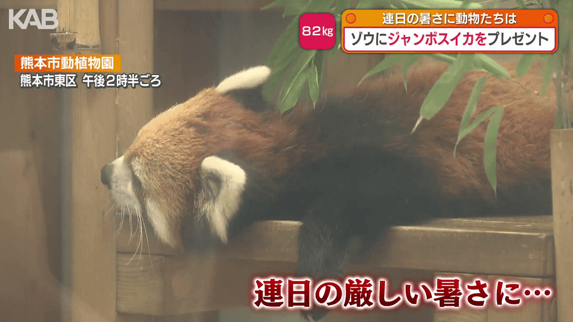写真3