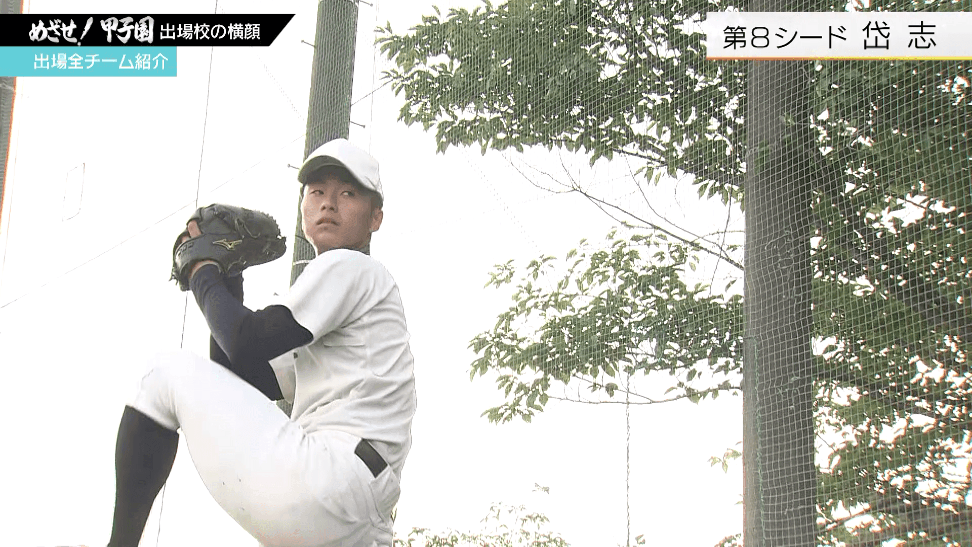 写真4
