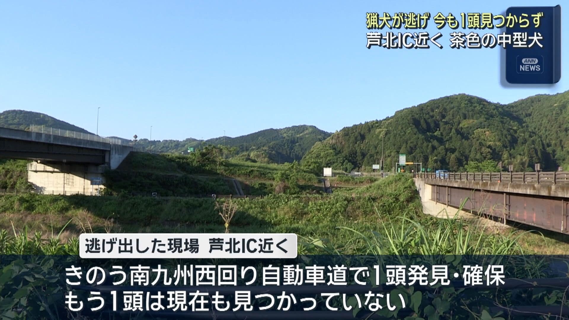 写真5