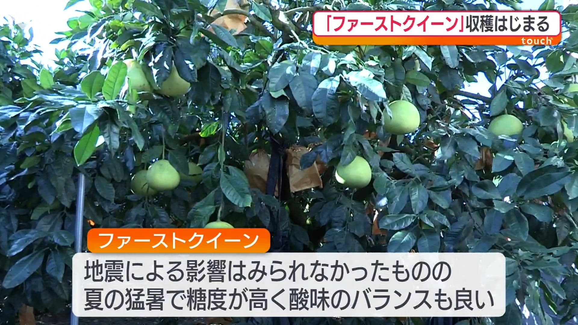 写真6