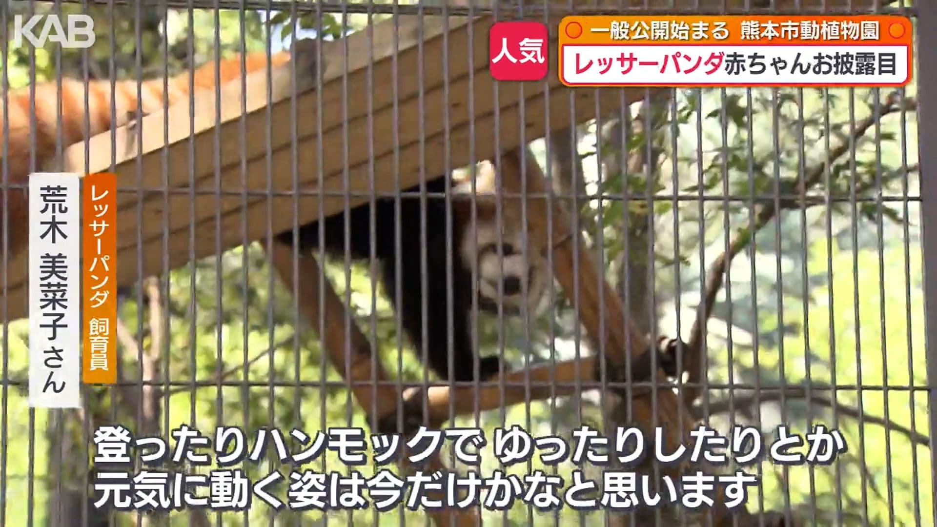 写真9