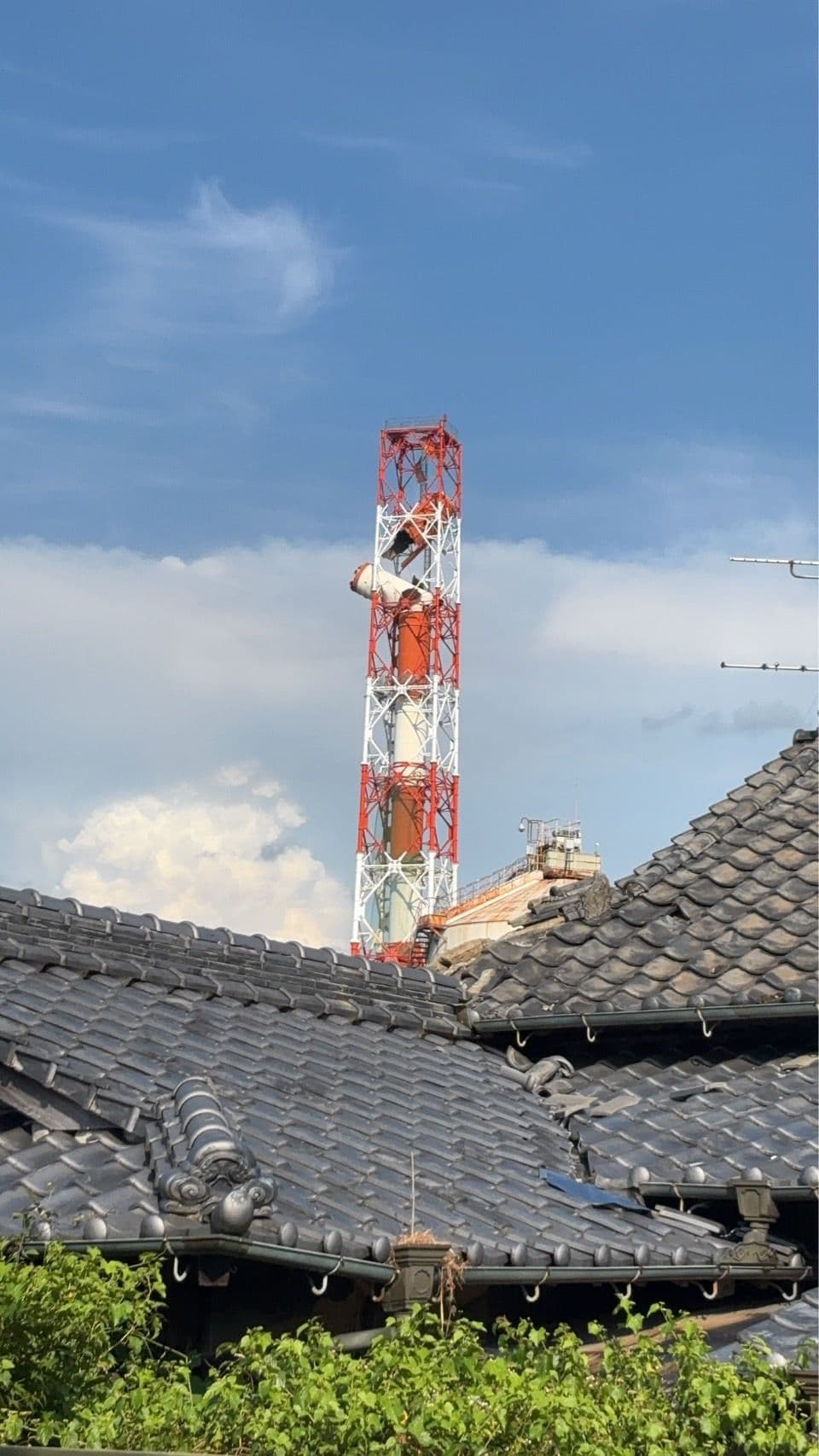 メイン記事画像