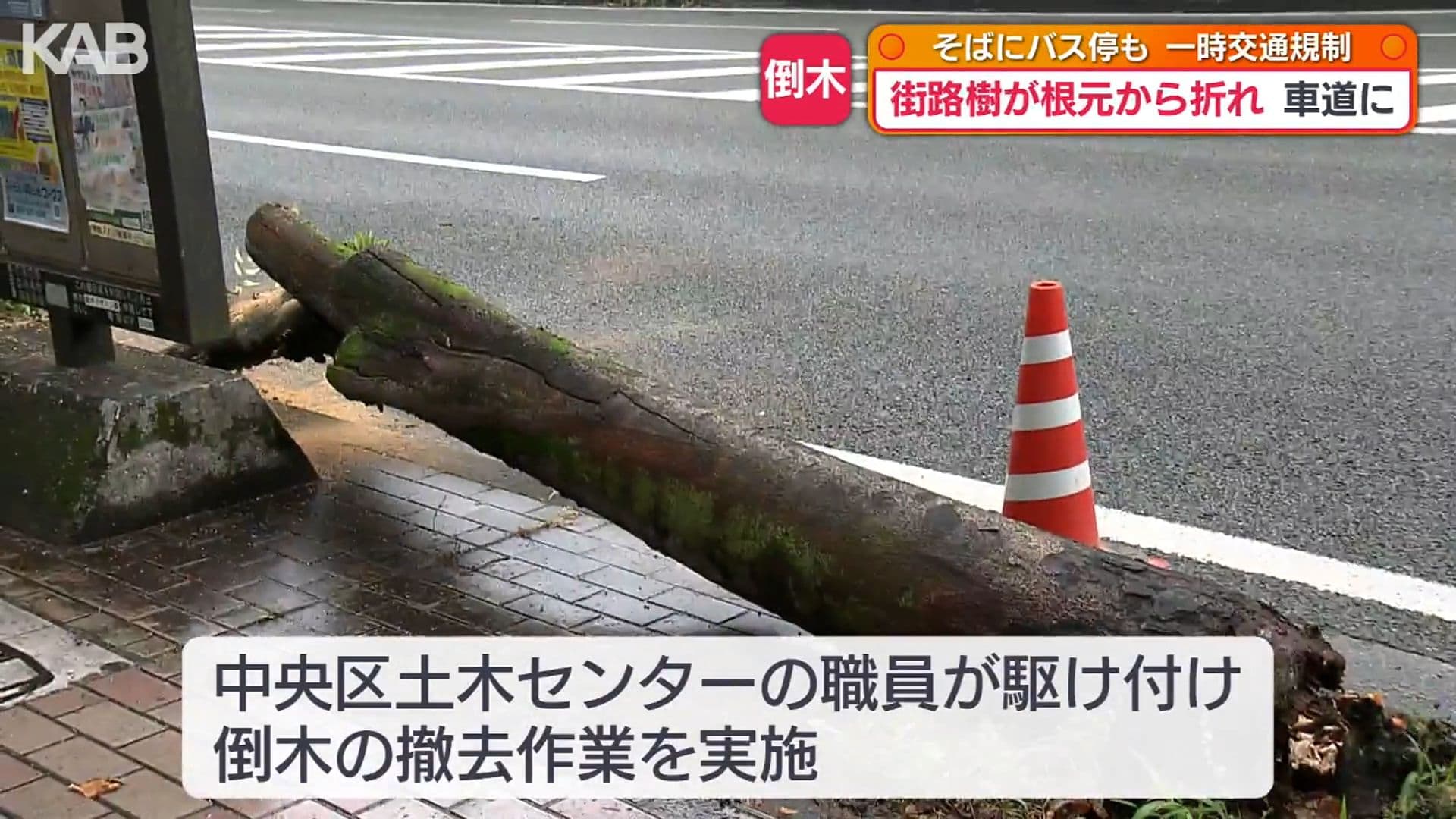 写真4