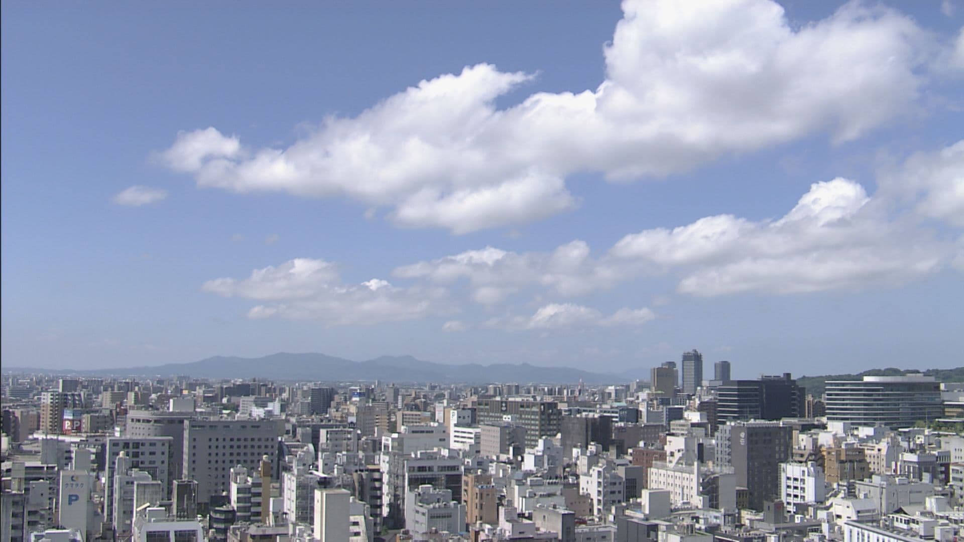 写真2