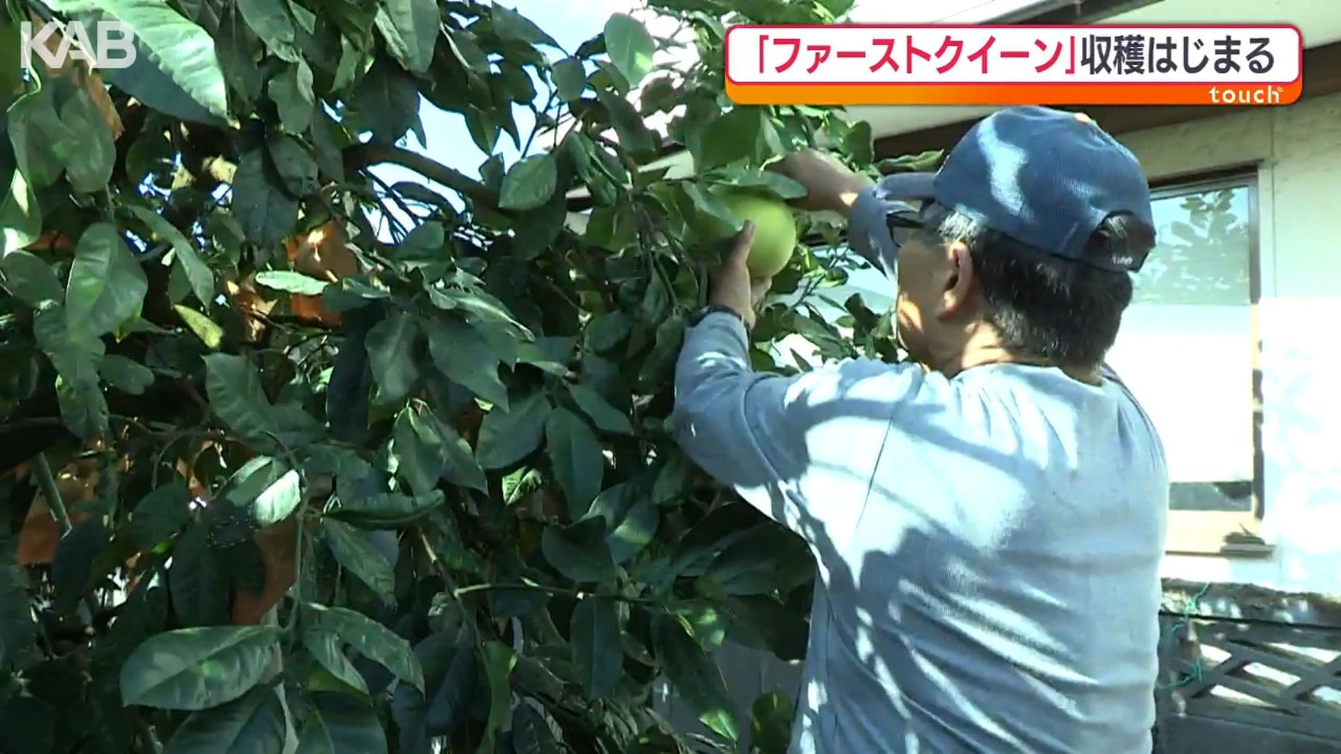 写真3
