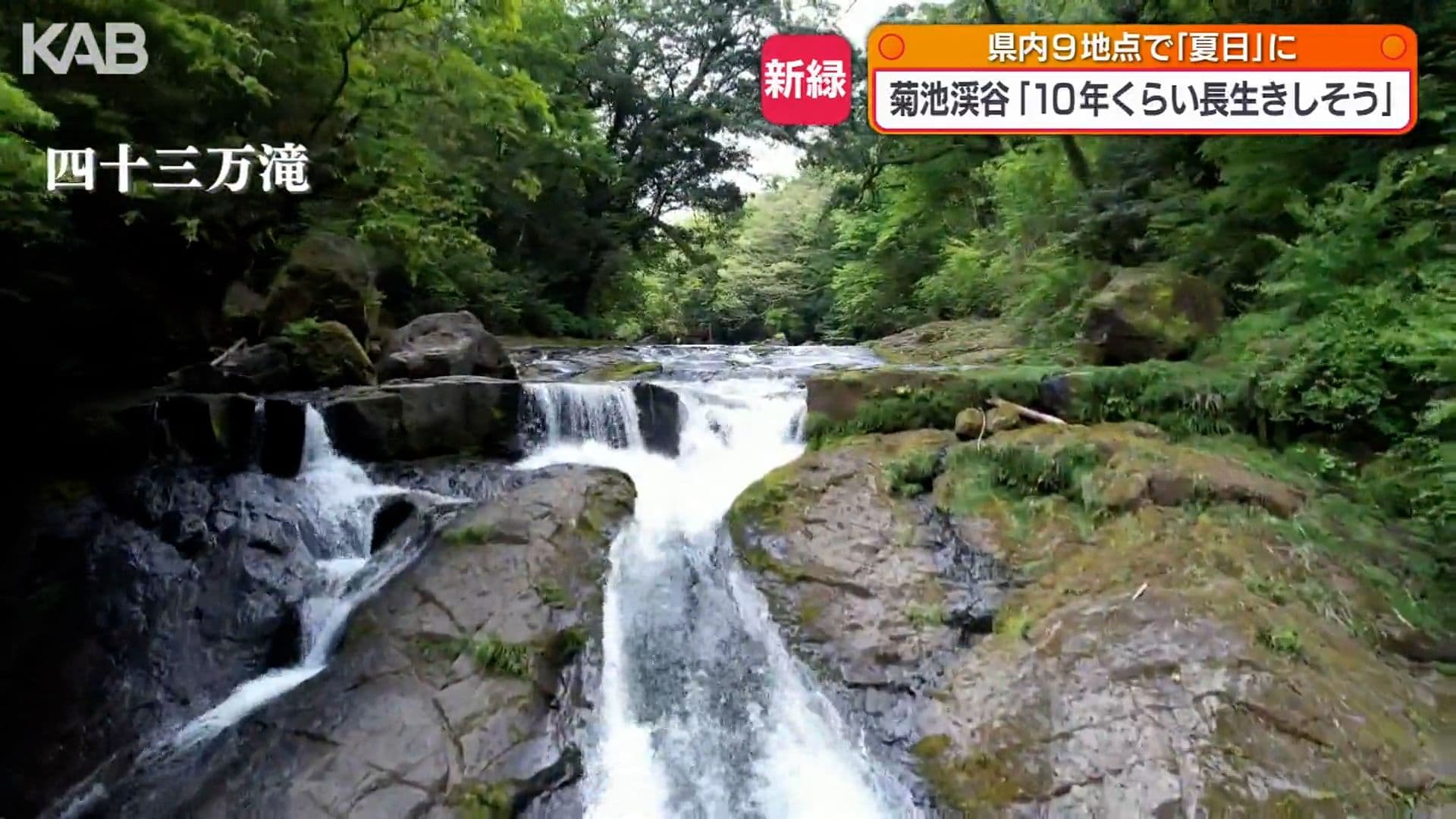 写真8