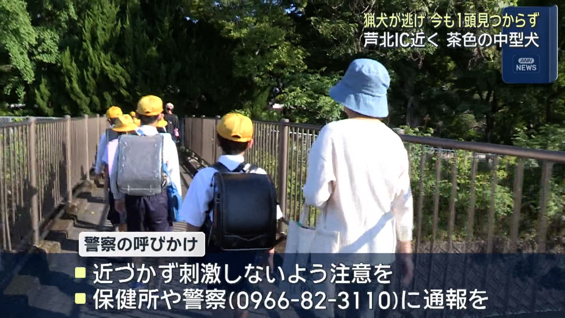 写真6