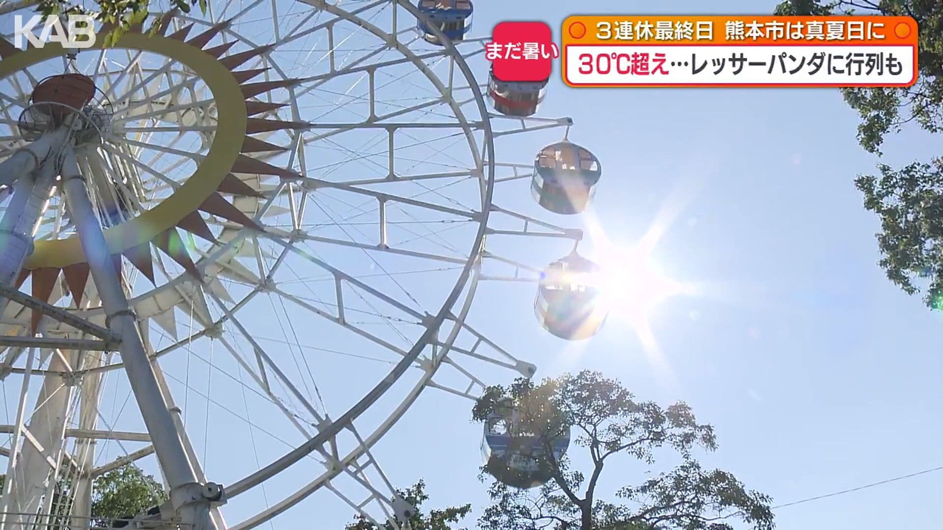 メイン記事画像