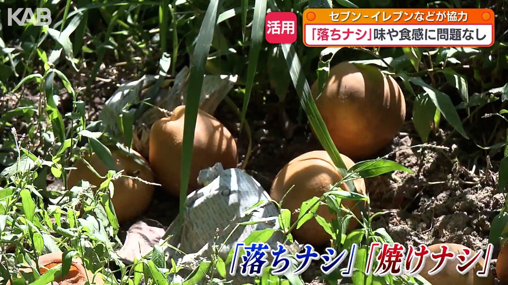 写真2