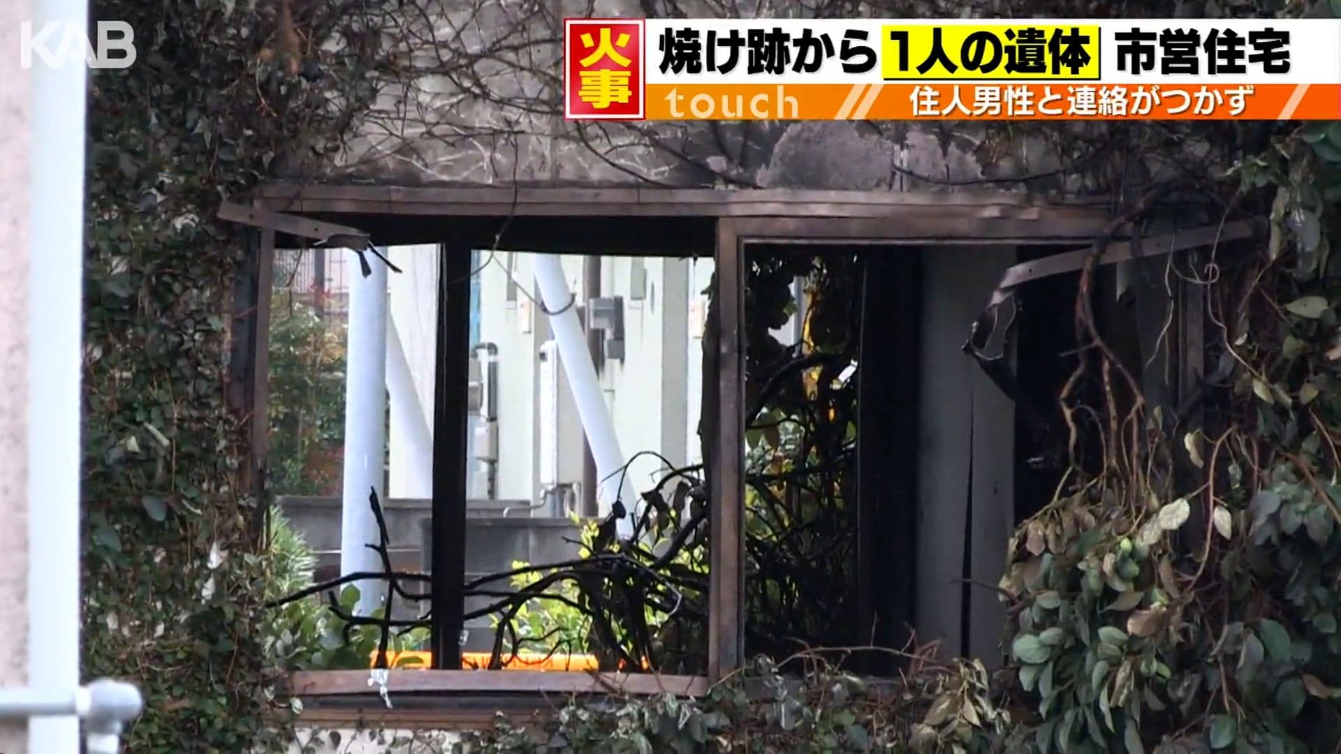 メイン記事画像