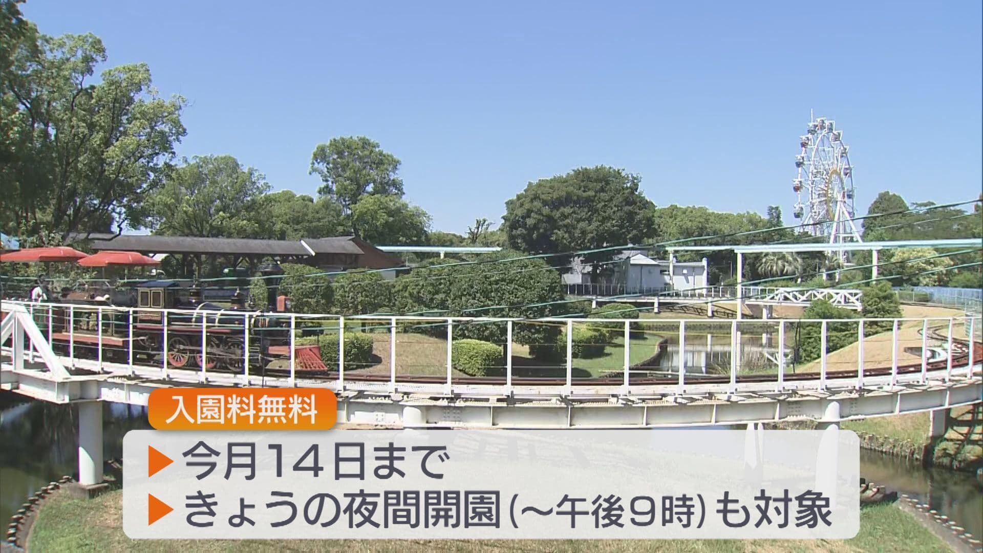 写真5