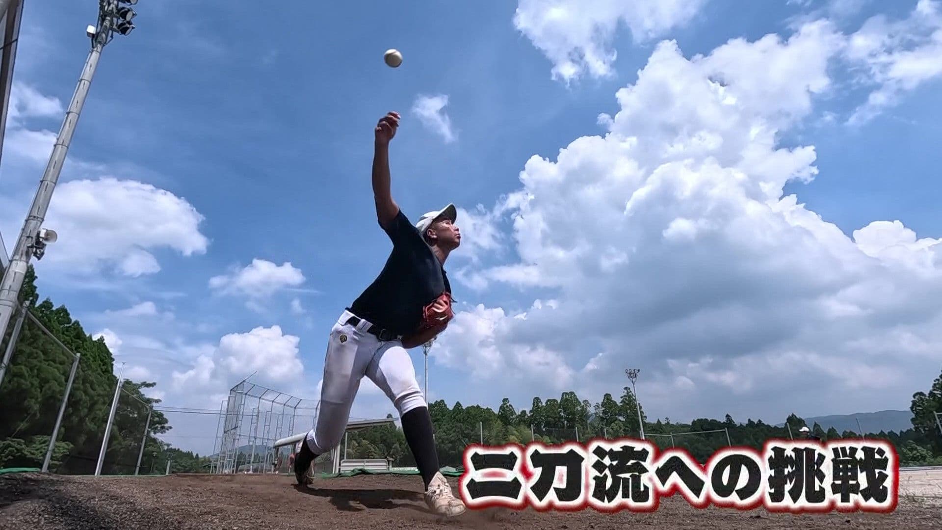 メイン記事画像