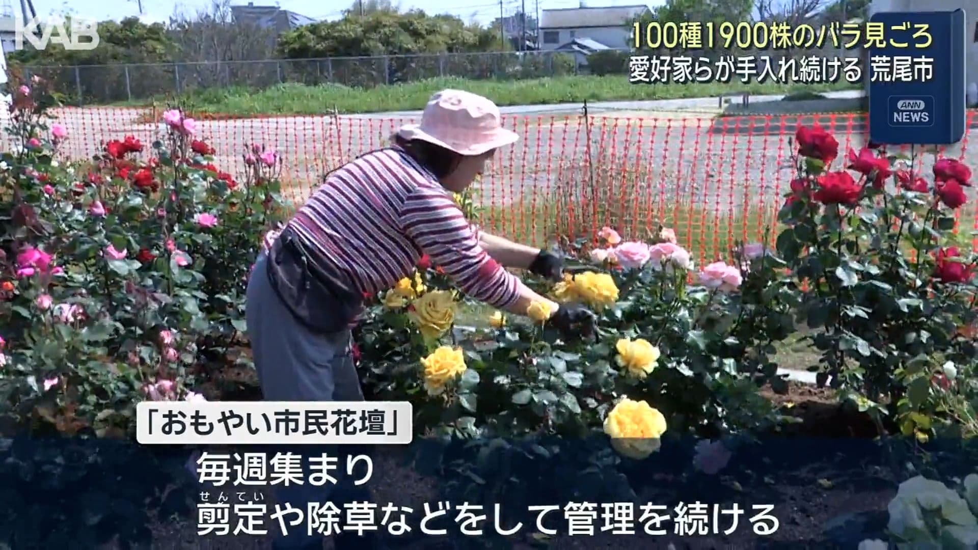 写真2