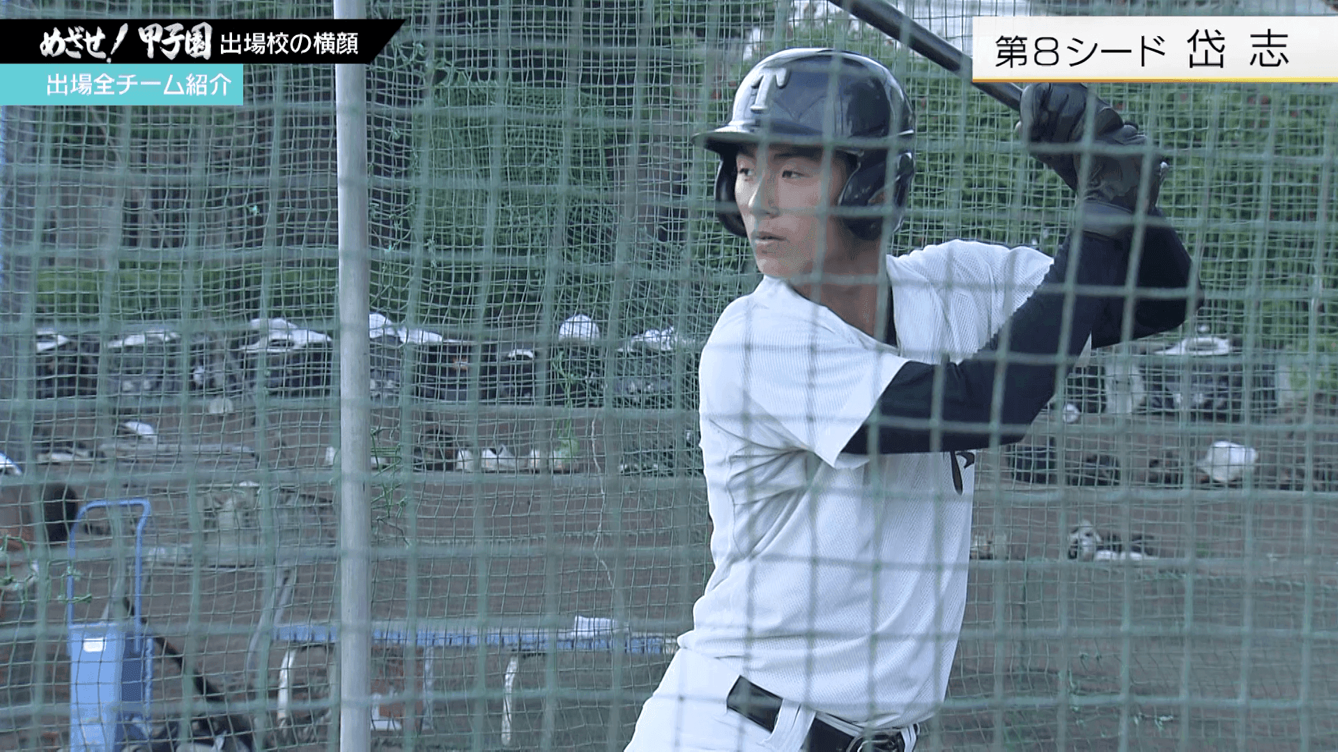 写真5