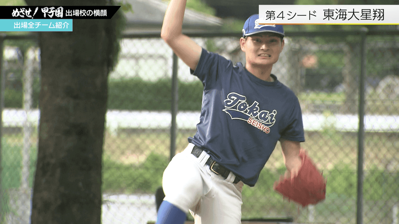 写真12