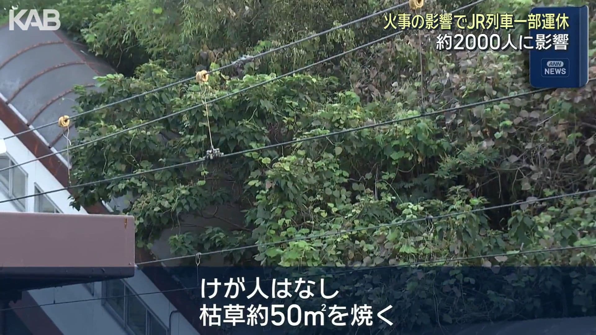 写真5