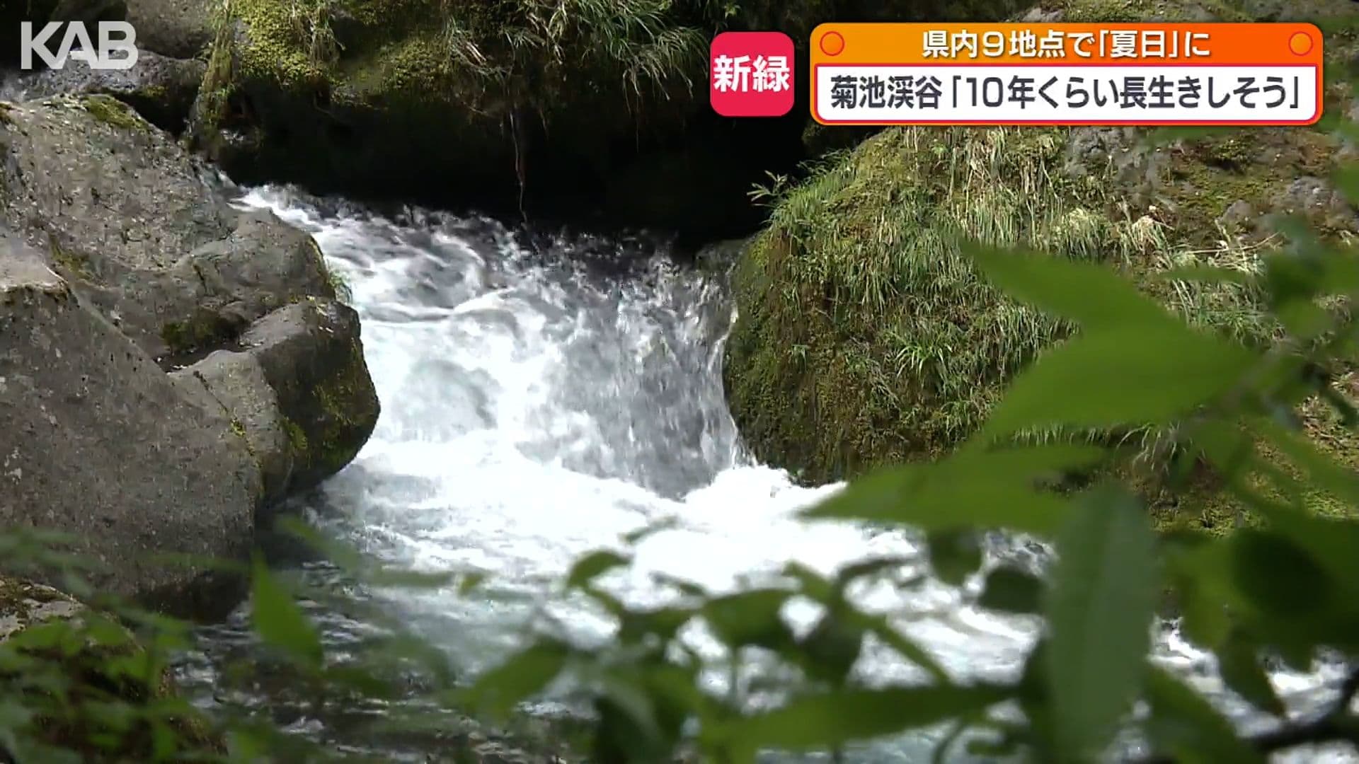 写真4