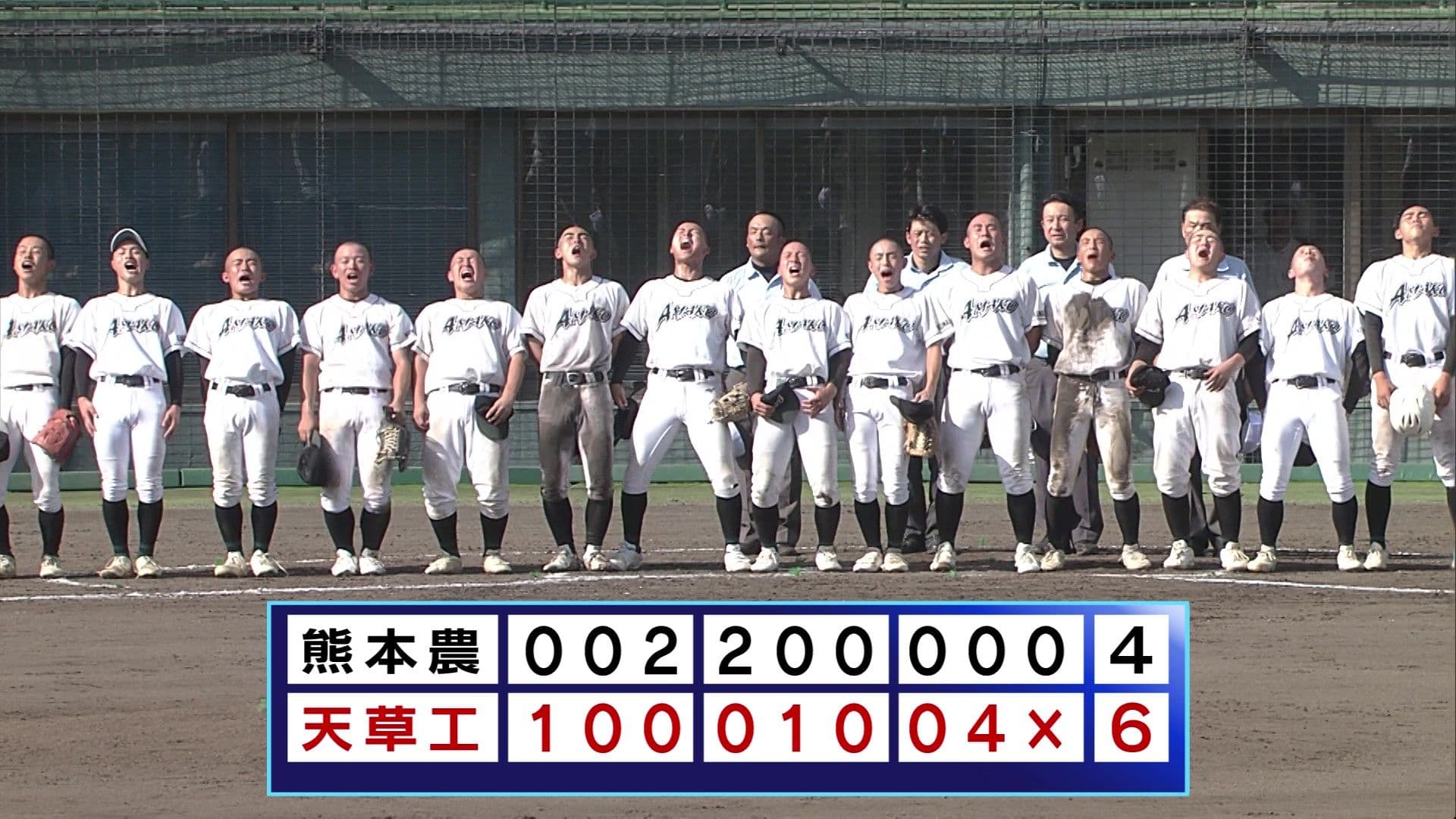 写真6
