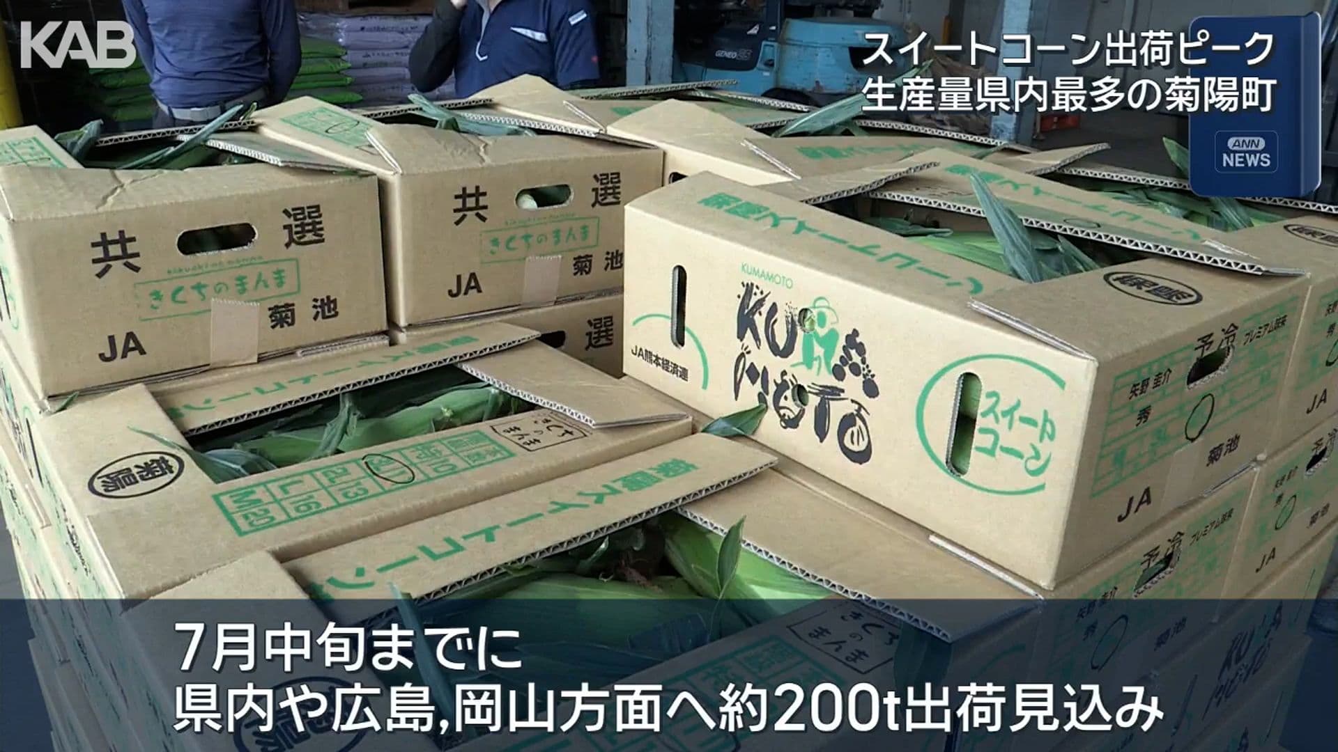 写真2