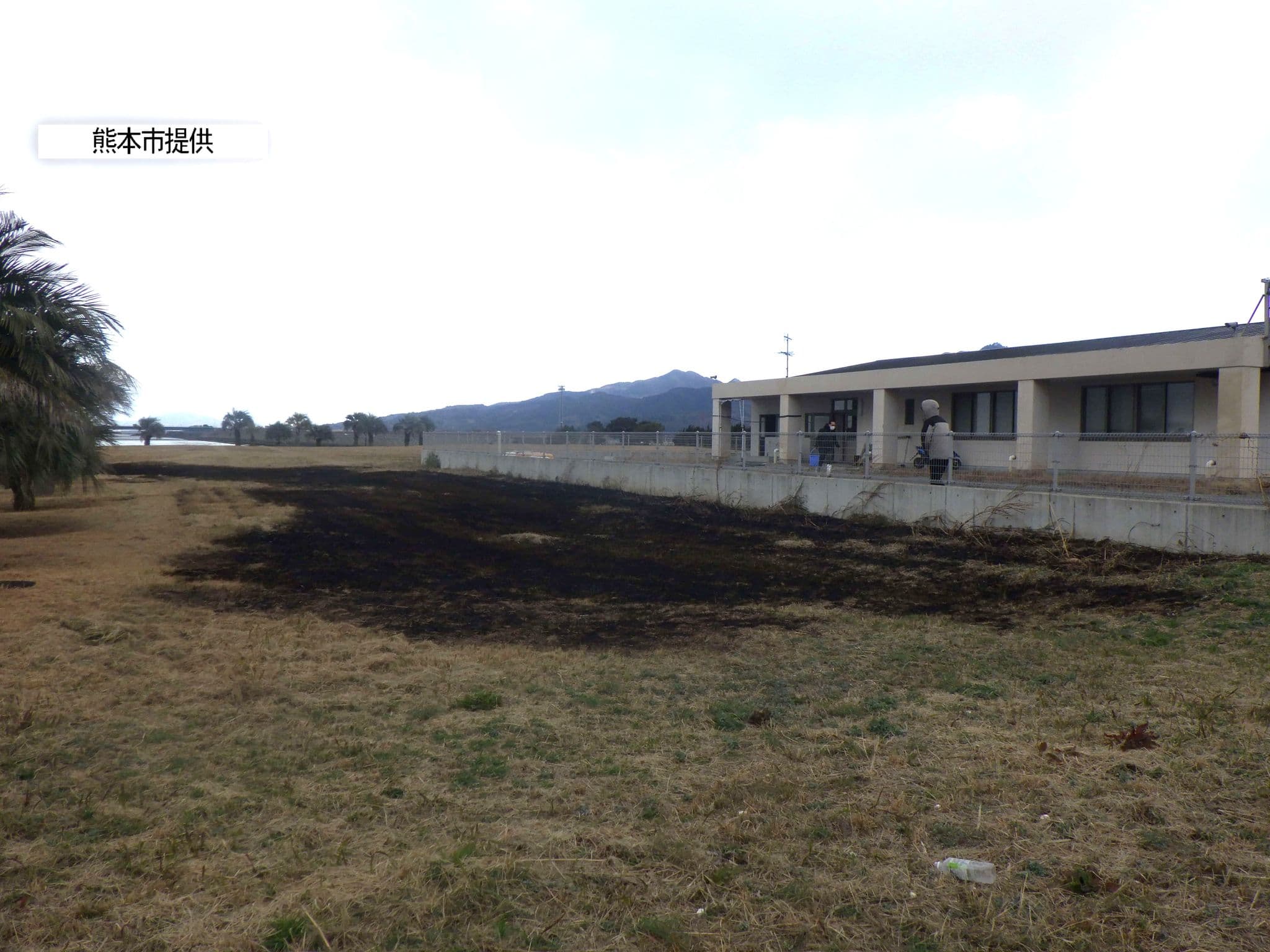 メイン記事画像