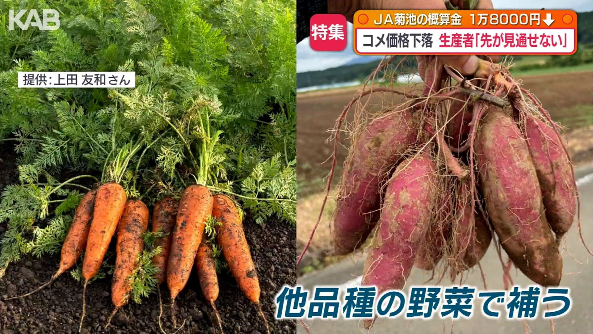 写真10