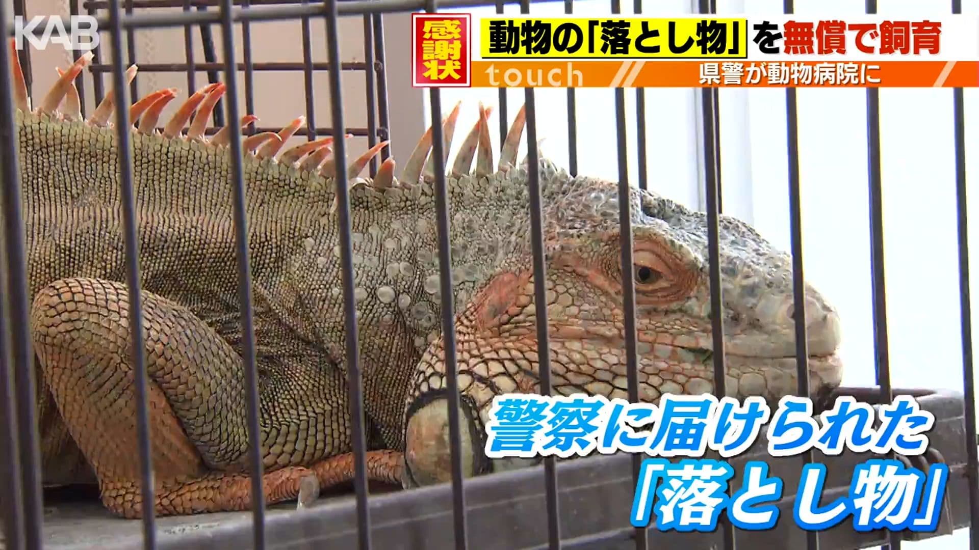 メイン記事画像