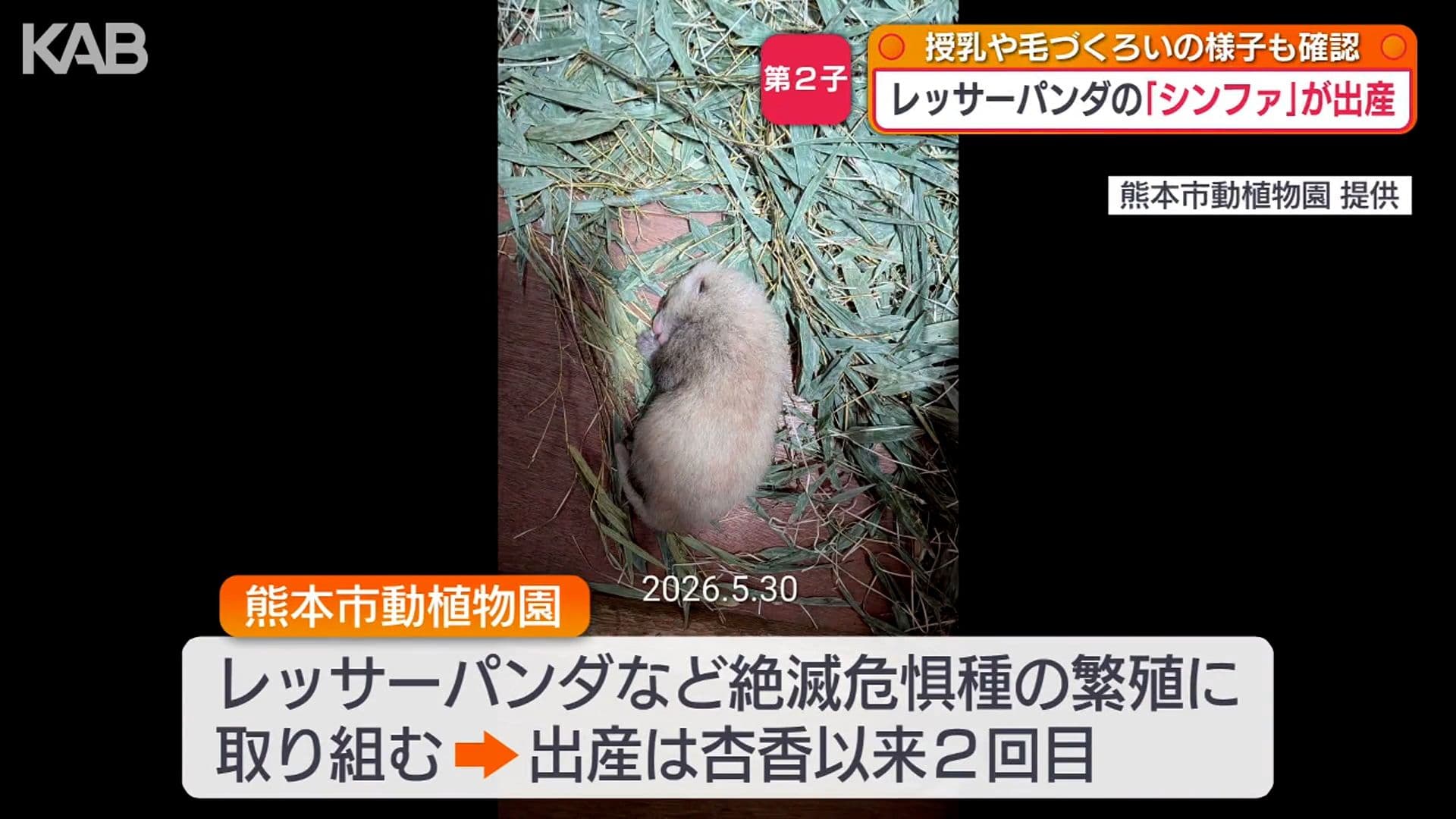 写真7