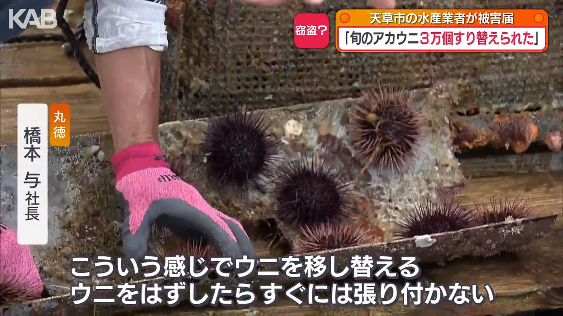 写真8
