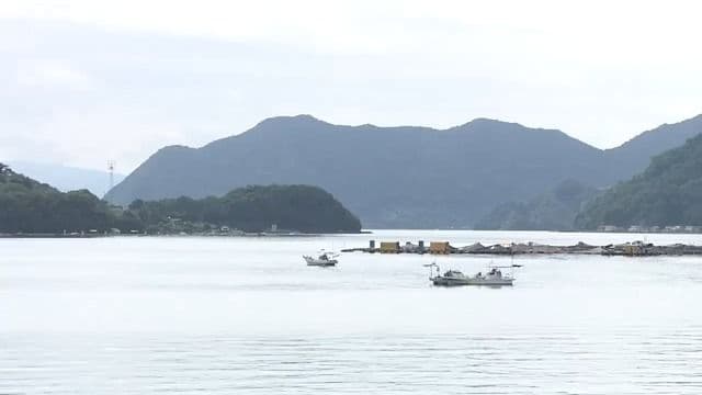 メイン記事画像
