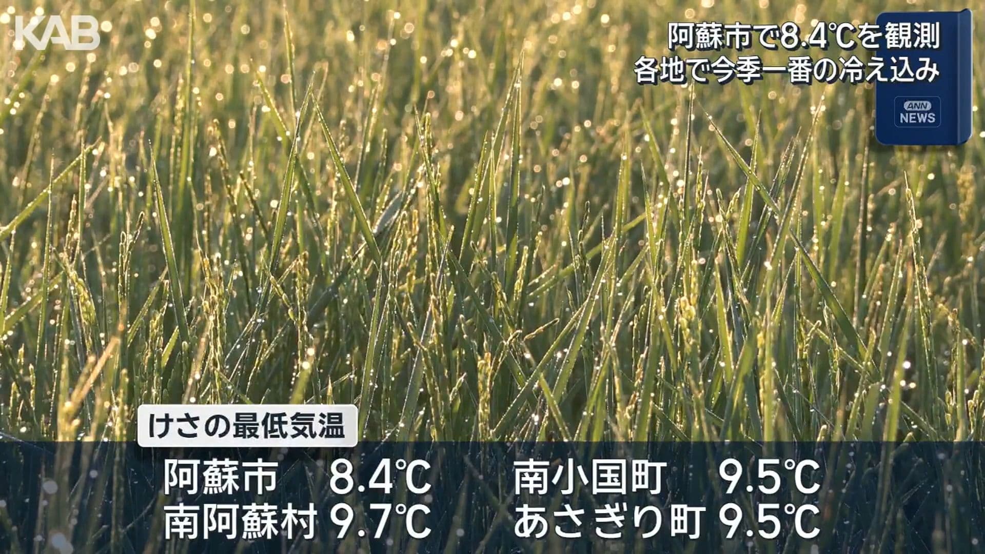 写真2
