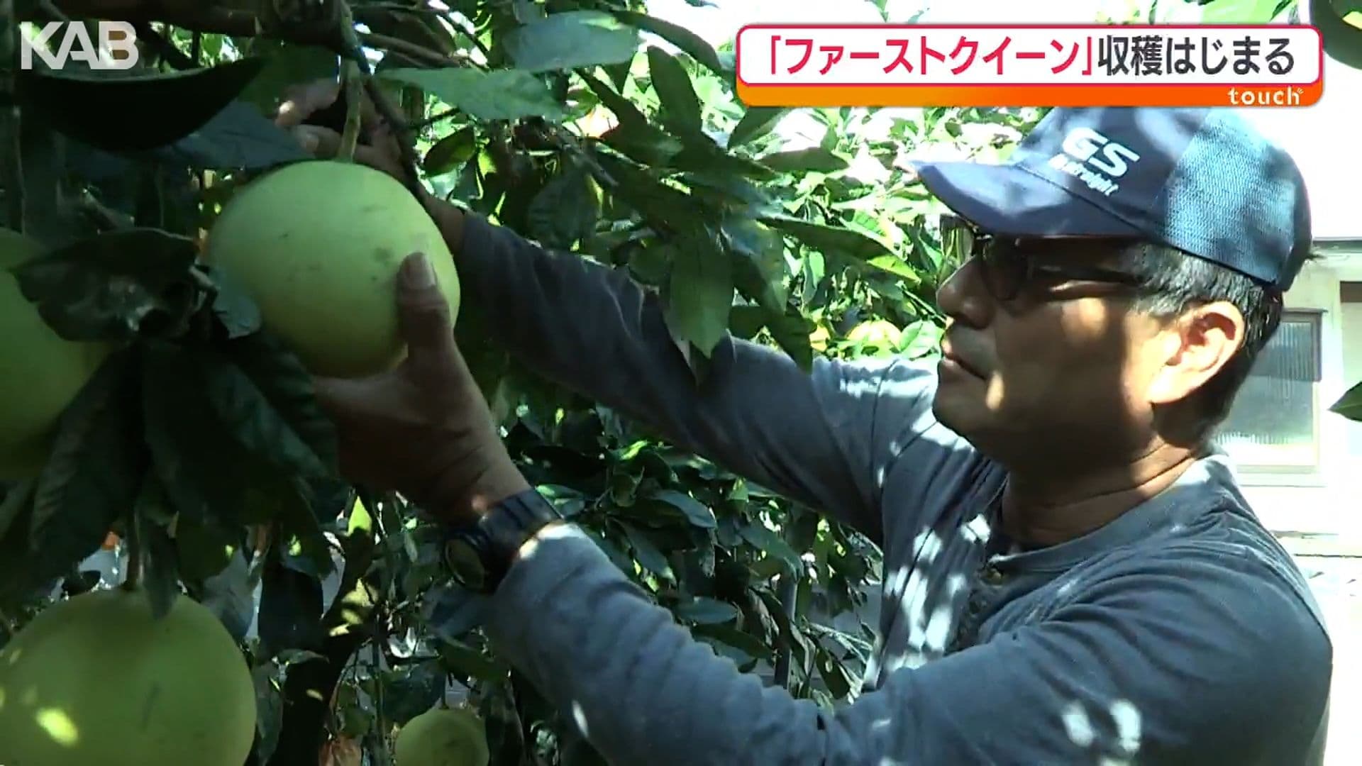 写真5