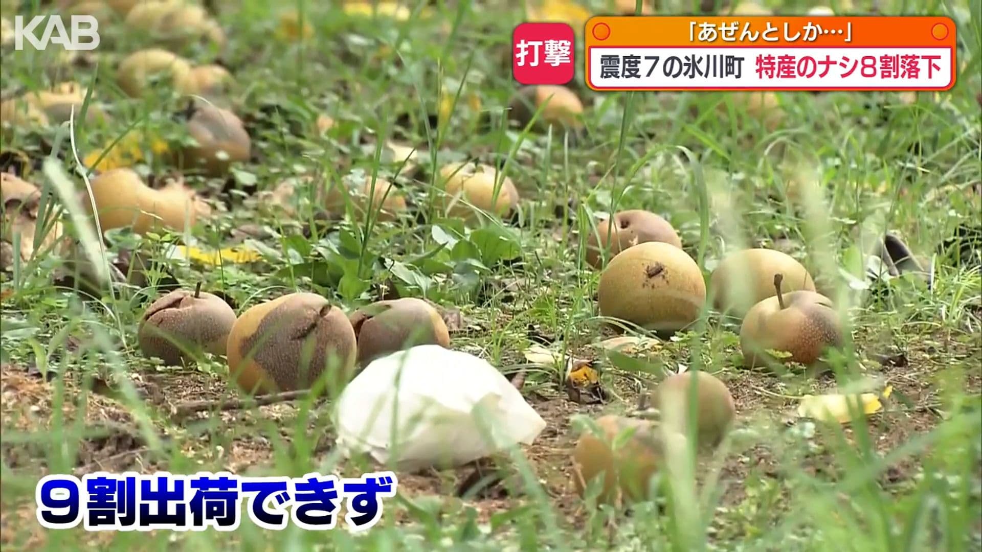 写真5